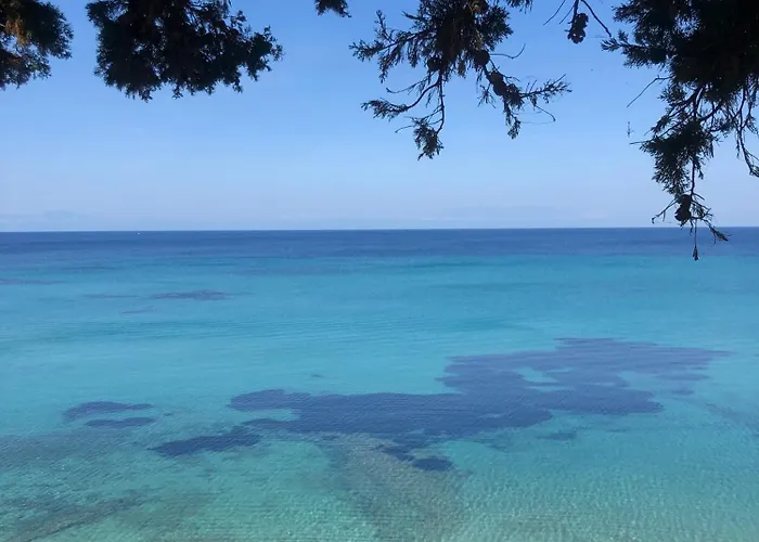 Casa Portokali Chalkidiki - Modern Comfort With Authentic Greek Charm Apartamento